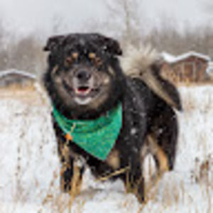 Meet your Posher, Mandy